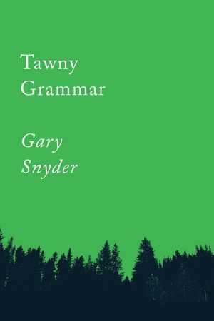 Tawny Grammar: Essays image number 0