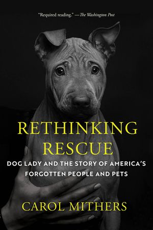 Rethinking Rescue image number 0