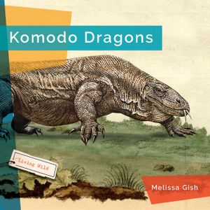 Komodo Dragons image number 0