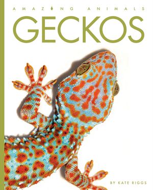 Geckos image number 0