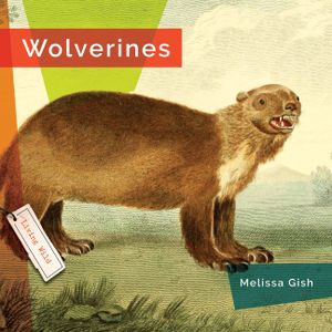 Wolverines image number 0