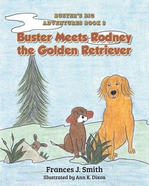 Buster Meets Rodney the Golden Retriever image number 0