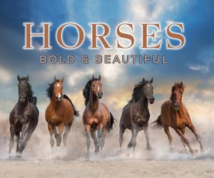 Horses: Bold and Beautiful image number 0