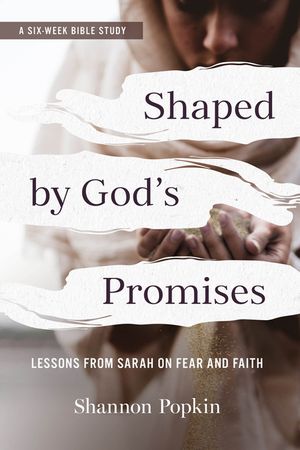 Shaped by God's Promises: Lessons from Sarah on Fear and Faith image number 0