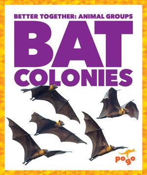 Bat Colonies image number 0