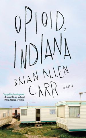 Opioid, Indiana image number 0