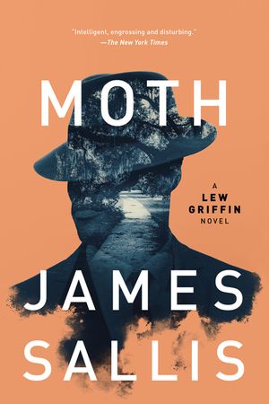 Moth image number 0