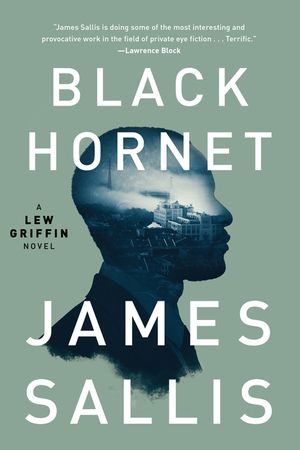 Black Hornet image number 0