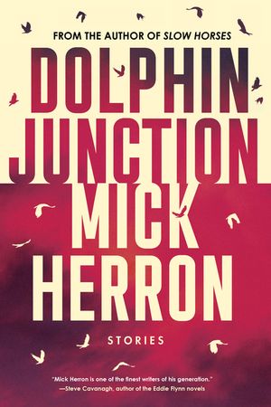 Dolphin Junction: Stories image number 0