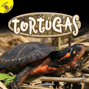 Tortugas: Turtles image number 0