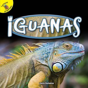 Iguanas: Iguanas image number 0