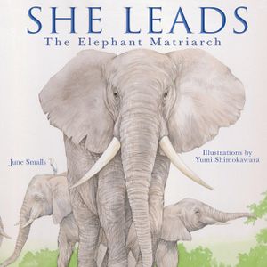 She Leads: The Elephant Matriarch image number 0