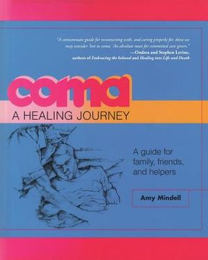Coma: A Healing Journey: A Guide for Family, Friends, and Helpers image number 0
