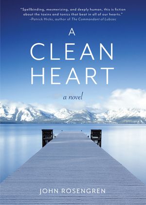 A Clean Heart: A Novel (Alcoholism, Dysfunctional Family, Recovery, Redemption, 12-Steps) image number 0