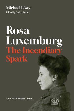 Rosa Luxemburg: The Incendiary Spark: Essays image number 0