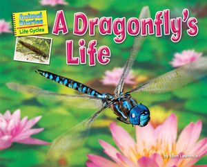 A Dragonfly's Life image number 0