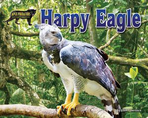 Harpy Eagle image number 0