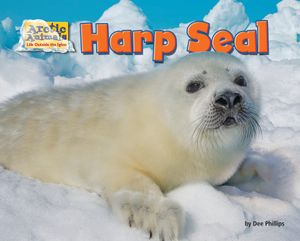 Harp Seal image number 0