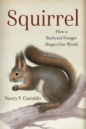 Squirrel: How a Backyard Forager Shapes Our World image number 0