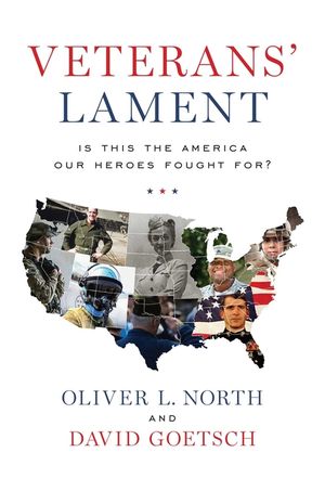 Veterans' Lament: Is This the America Our Heroes Fought For? image number 0