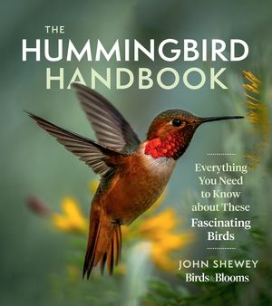 The Hummingbird Handbook: Everything You Need to Know about These Fascinating Birds image number 0