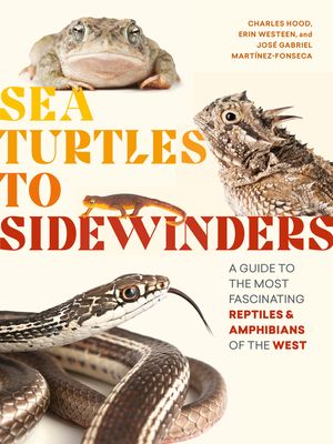 Sea Turtles to Sidewinders: A Guide to the Most Fascinating Reptiles and Amphibians of the West image number 0