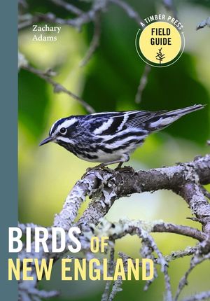 Birds of New England image number 0
