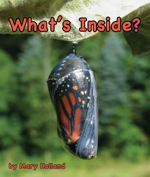 What's Inside? image number 0