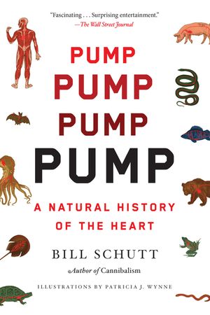 Pump: A Natural History of the Heart image number 0