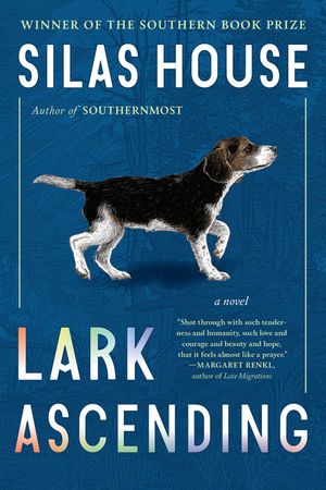 Lark Ascending image number 0