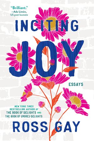 Inciting Joy: Essays image number 0