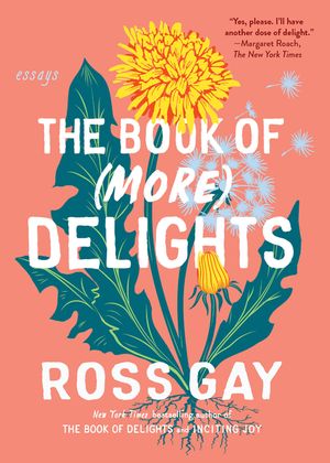 The Book of (More) Delights: Essays image number 0