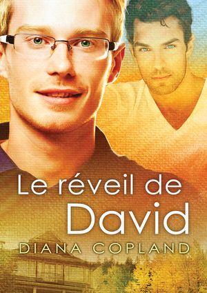 Le R&eacute;veil de David image number 0