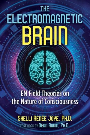 The Electromagnetic Brain: Em Field Theories on the Nature of Consciousness image number 0