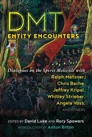Dmt Entity Encounters: Dialogues on the Spirit Molecule with Ralph Metzner, Chris Bache, Jeffrey Kripal, Whitley Strieber, Angela Voss, and O image number 0