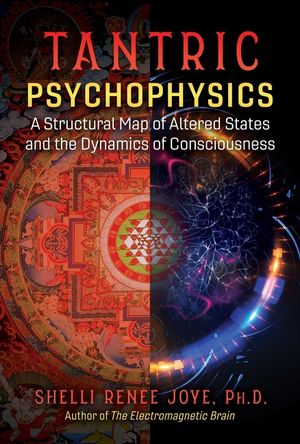Tantric Psychophysics: A Structural Map of Altered States and the Dynamics of Consciousness image number 0