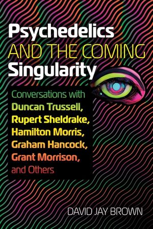 Psychedelics and the Coming Singularity: Conversations with Duncan Trussell, Rupert Sheldrake, Hamilton Morris, Graham Hancock, Grant Morrison, and Ot image number 0