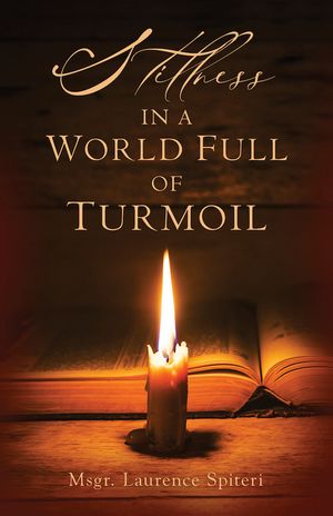 Stillness in a World Full of Turmoil image number 0