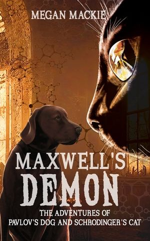 Maxwell's Demon image number 0