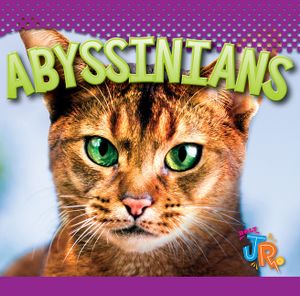 Abyssinians image number 0