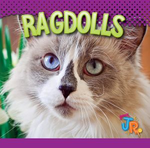 Ragdolls image number 0