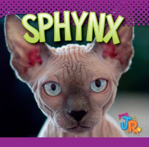 Sphynx image number 0