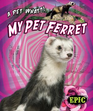 My Pet Ferret image number 0