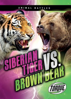 Siberian Tiger vs. Brown Bear image number 0