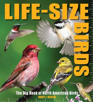 Life-Size Birds: The Big Book of North American Birds image number 0
