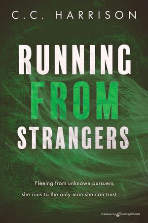 Running From Strangers image number 0