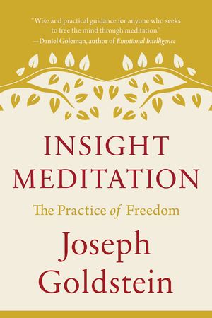 Insight Meditation: The Practice of Freedom image number 0