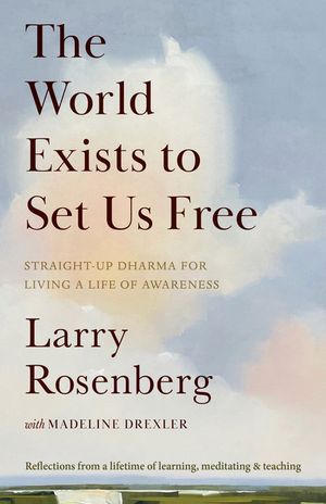 The World Exists to Set Us Free: Straight-Up Dharma for Living a Life of Awareness image number 0