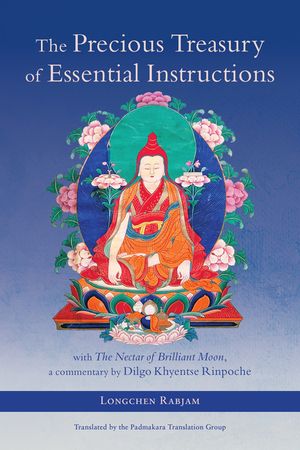 The Precious Treasury of Essential Instructions: Explanations on the Treasury of Essential Instructions of Gyalwa Longchen Rabjam image number 0