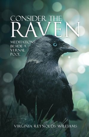 Consider The Raven: Meditations Beside a Vernal Pool image number 0